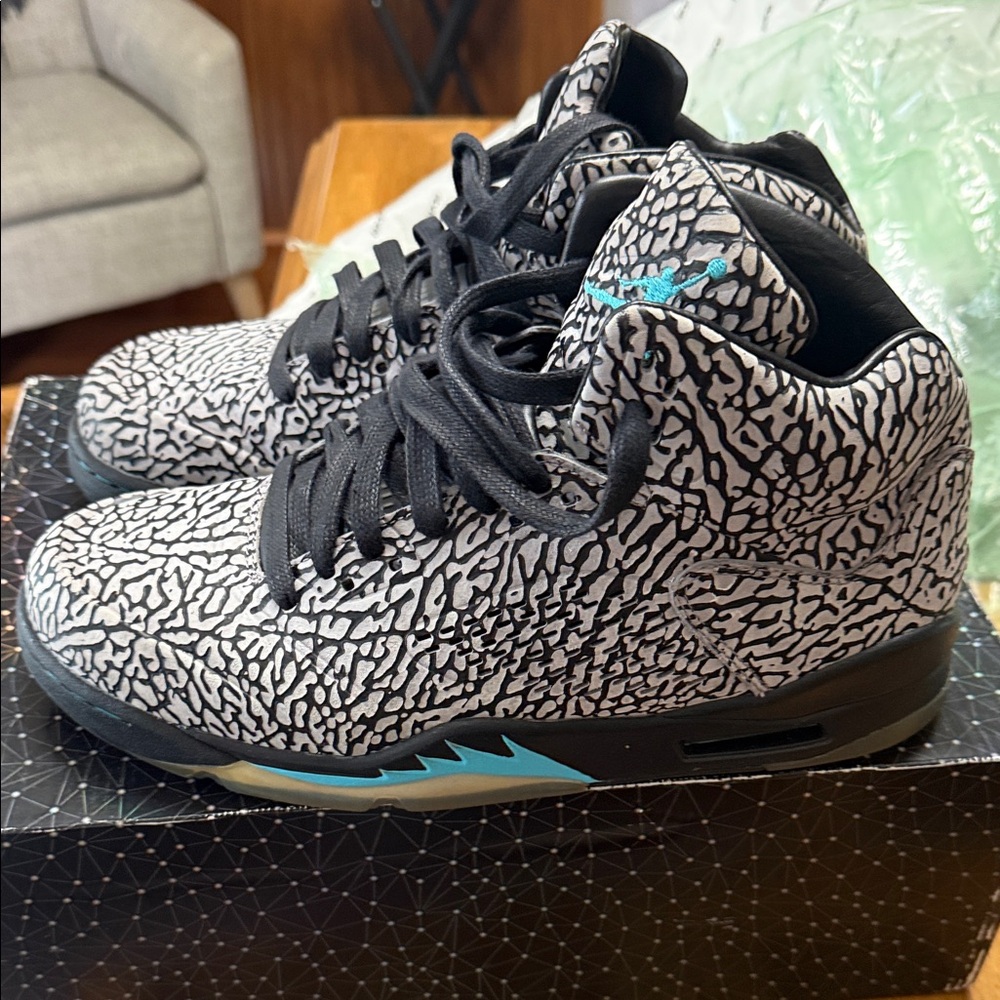 Jordan 5 lab